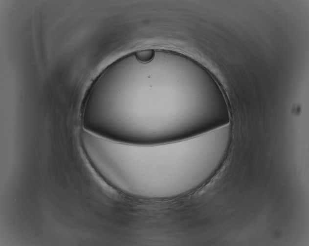 X0000091661525200708230939