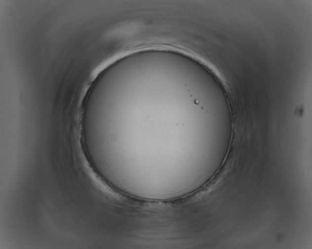 X0000091661526200708230939