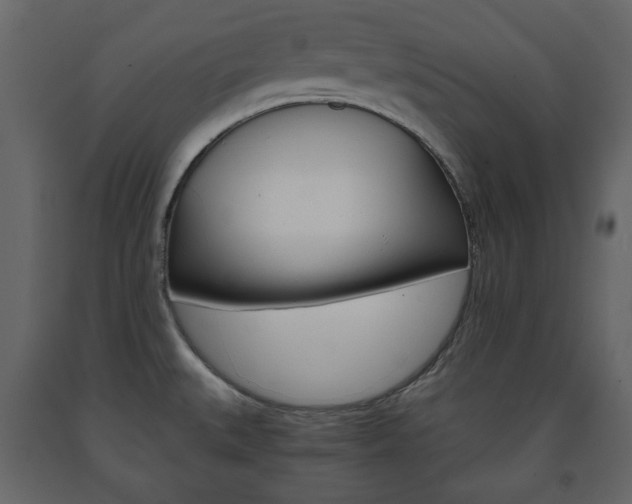 X0000091661527200708230939