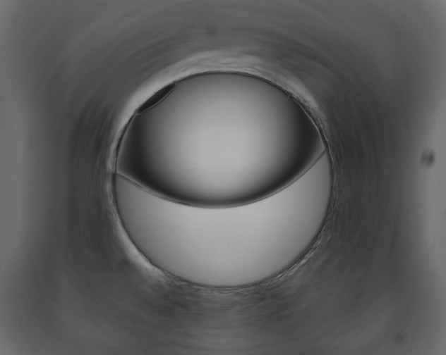 X0000091661528200708230939