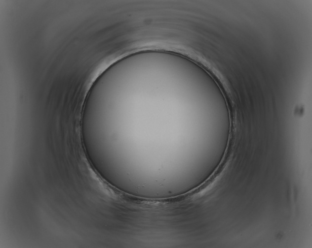 X0000091661529200708230939