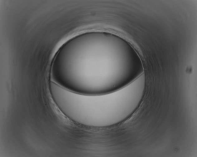 X0000091661530200708230939