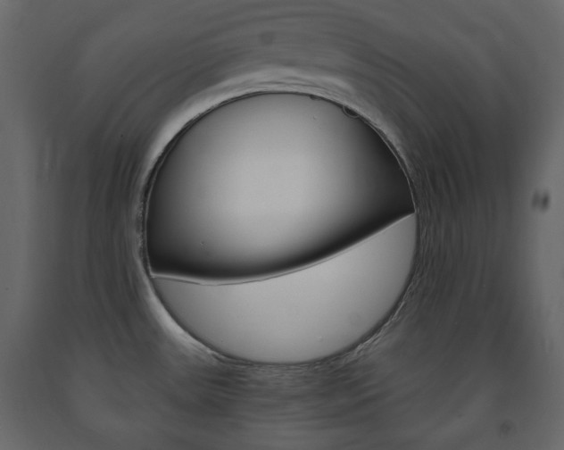 X0000091661531200708230939