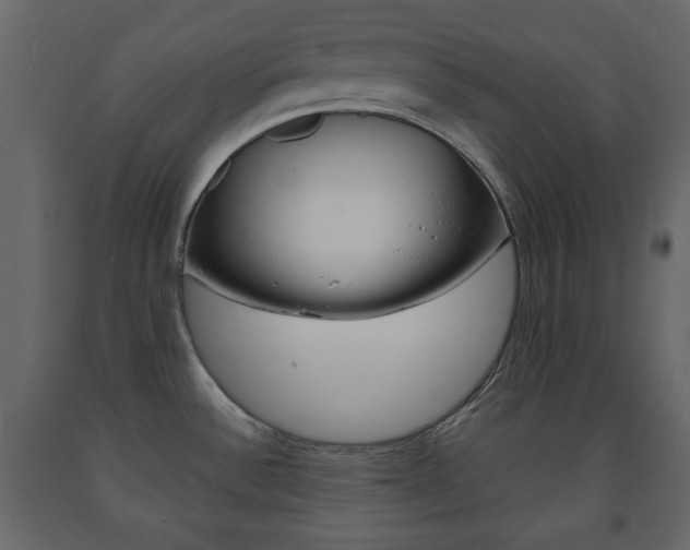 X0000091661532200708230939