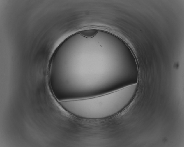 X0000091661533200708230939