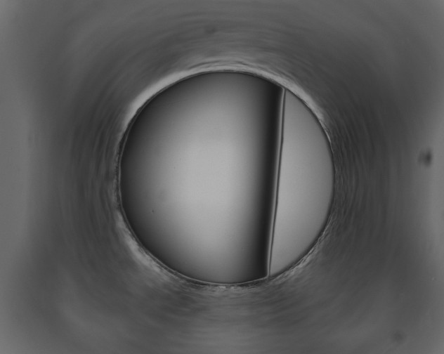 X0000091661534200708230939
