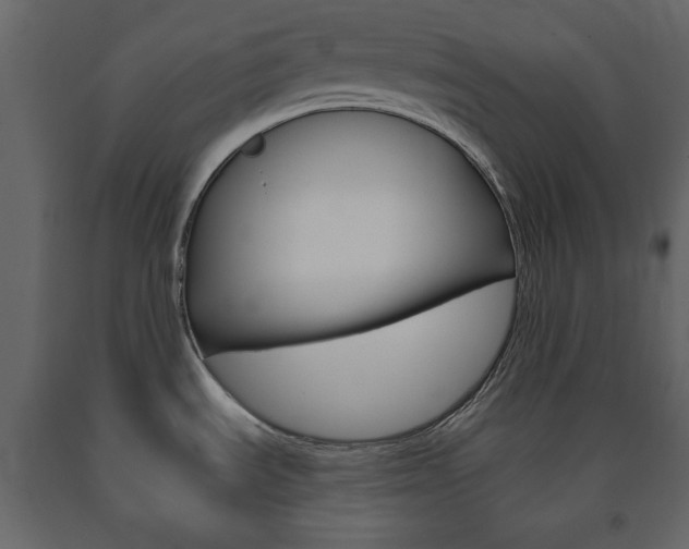 X0000091661535200708230939