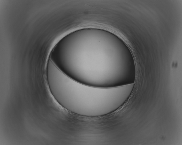 X0000091661536200708230939