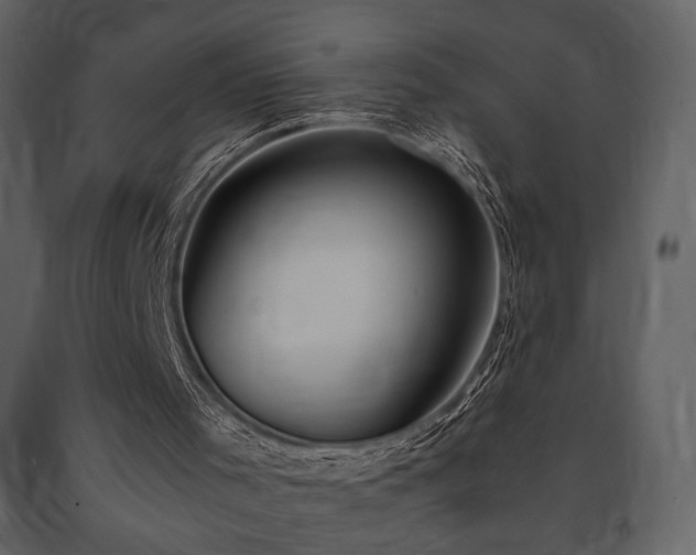 X0000091660001200708231317