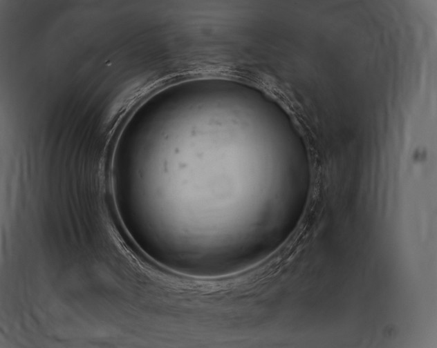 X0000091660002200708231317