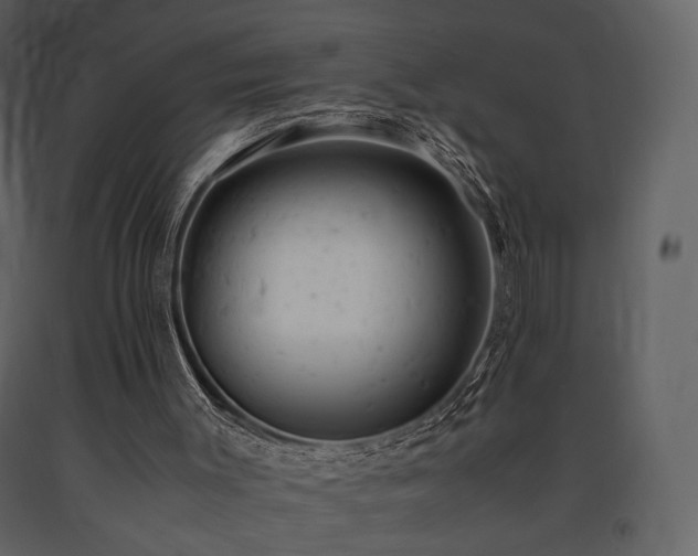 X0000091660003200708231317