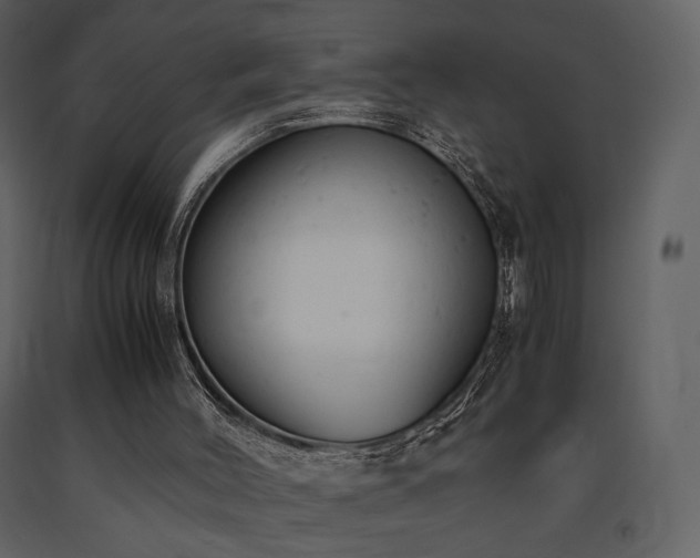 X0000091660004200708231317