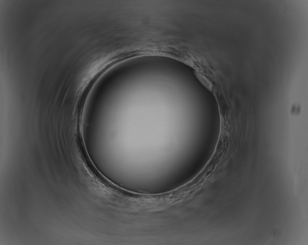 X0000091660005200708231317
