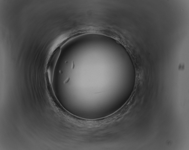 X0000091660006200708231317