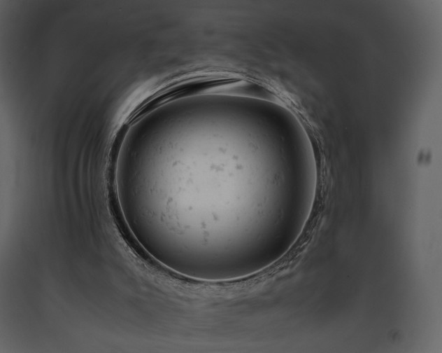 X0000091660007200708231317