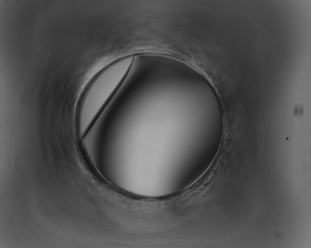 X0000091660008200708231317