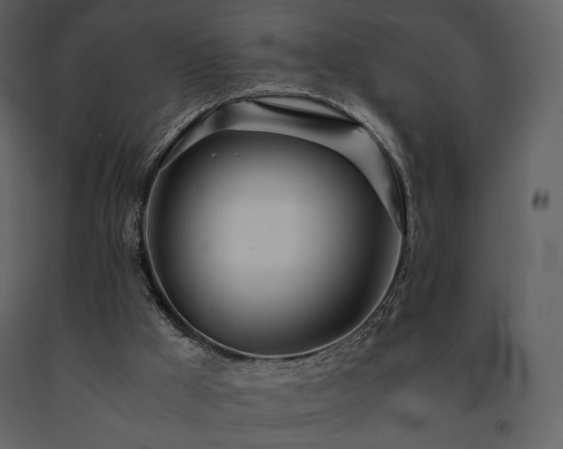X0000091660009200708231317