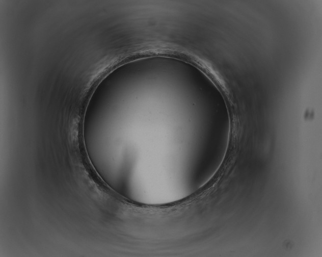 X0000091660010200708231317