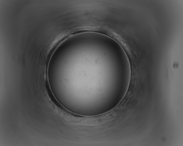 X0000091660011200708231317