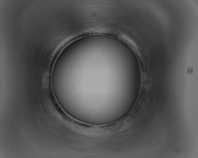 X0000091660012200708231317