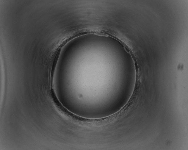 X0000091660013200708231317