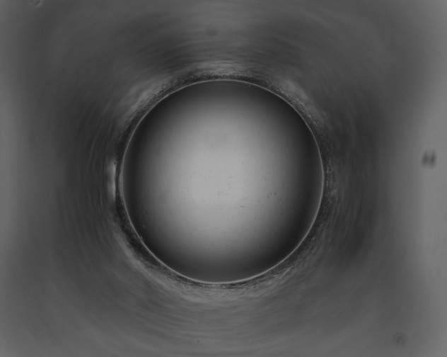 X0000091660014200708231317