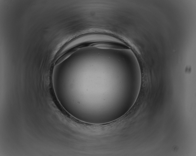 X0000091660015200708231317
