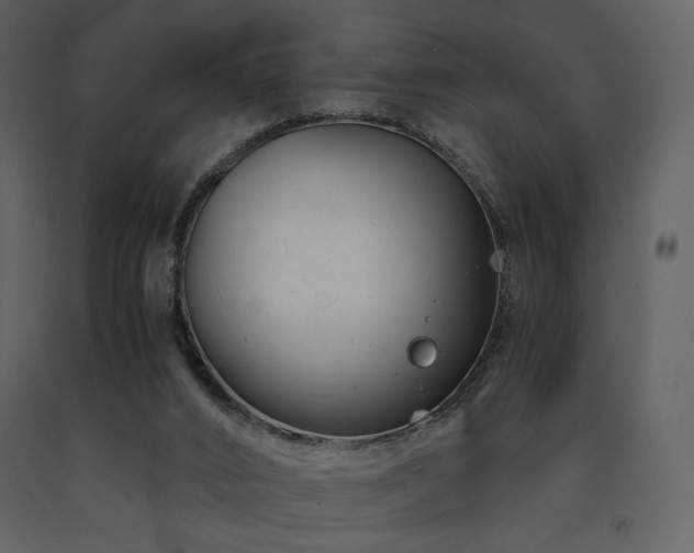 X0000091660016200708231317