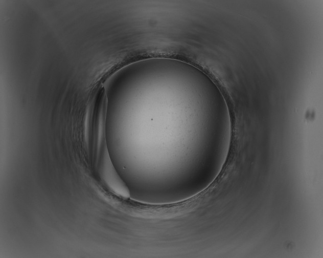 X0000091660017200708231317
