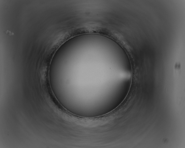 X0000091660018200708231317