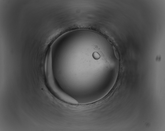 X0000091660019200708231317