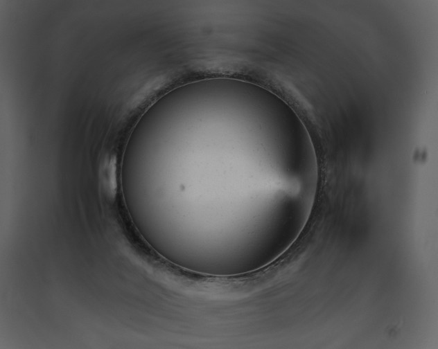 X0000091660020200708231316