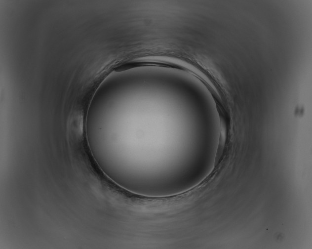 X0000091660021200708231316