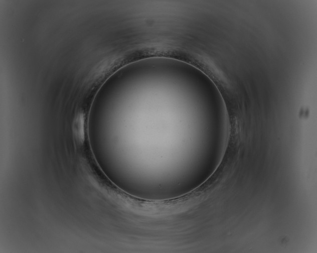X0000091660022200708231316