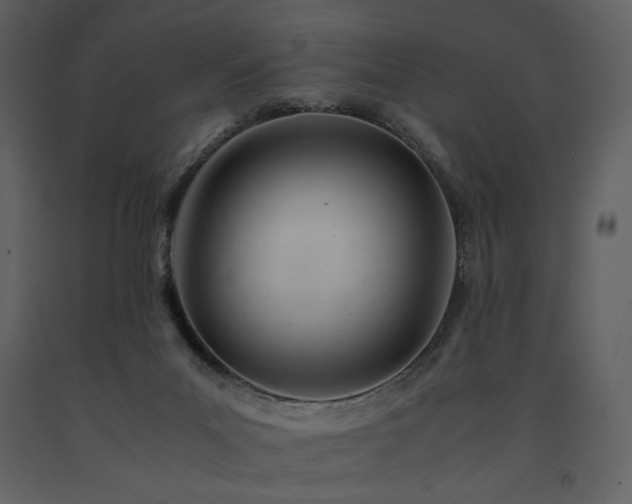 X0000091660023200708231316