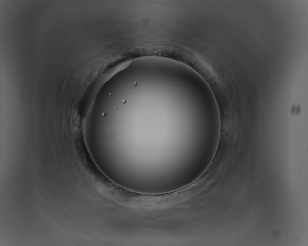 X0000091660025200708231316