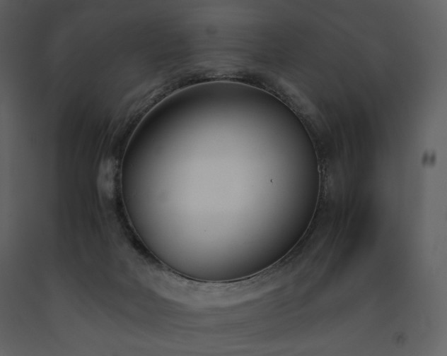 X0000091660026200708231316