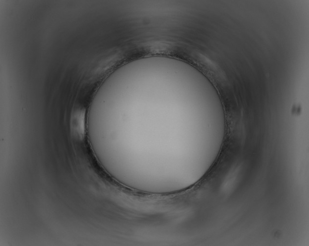X0000091660028200708231316