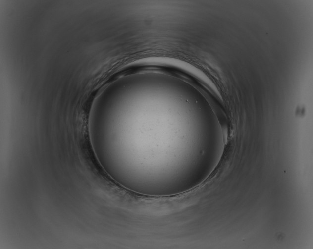 X0000091660029200708231316