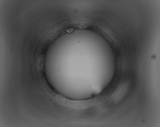 X0000091660030200708231316