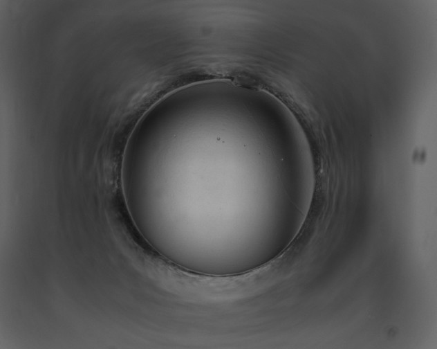 X0000091660031200708231316