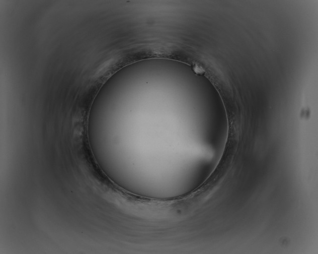 X0000091660032200708231316