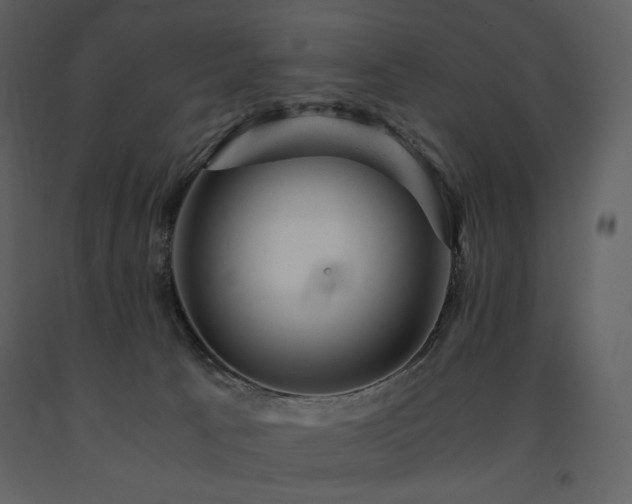 X0000091660033200708231316