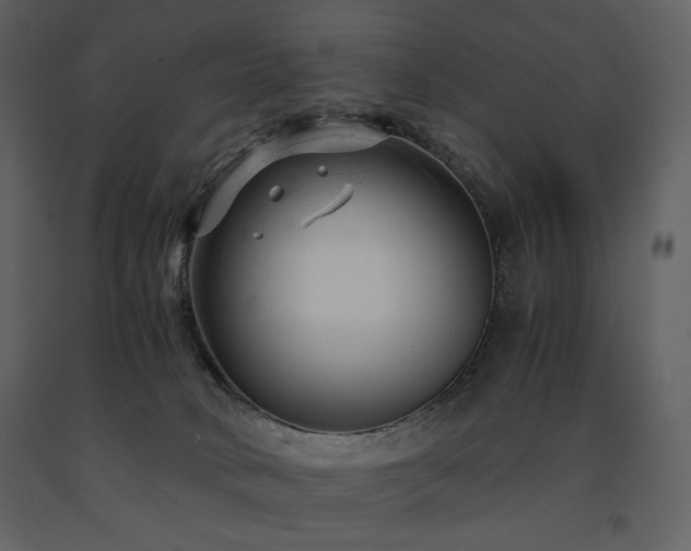X0000091660034200708231316