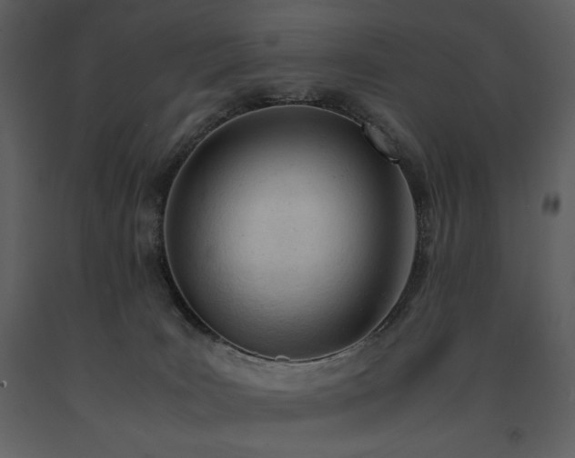 X0000091660035200708231316