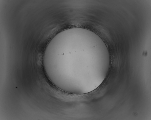 X0000091660036200708231316