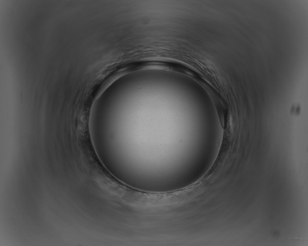 X0000091660037200708231316