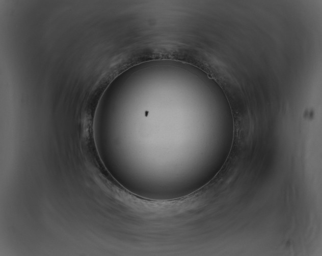 X0000091660038200708231316