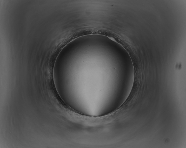 X0000091660039200708231316