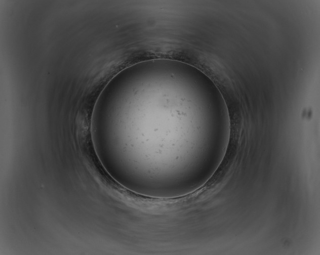 X0000091660040200708231316